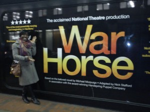 War Horse