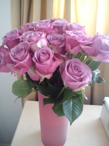 Pink roses